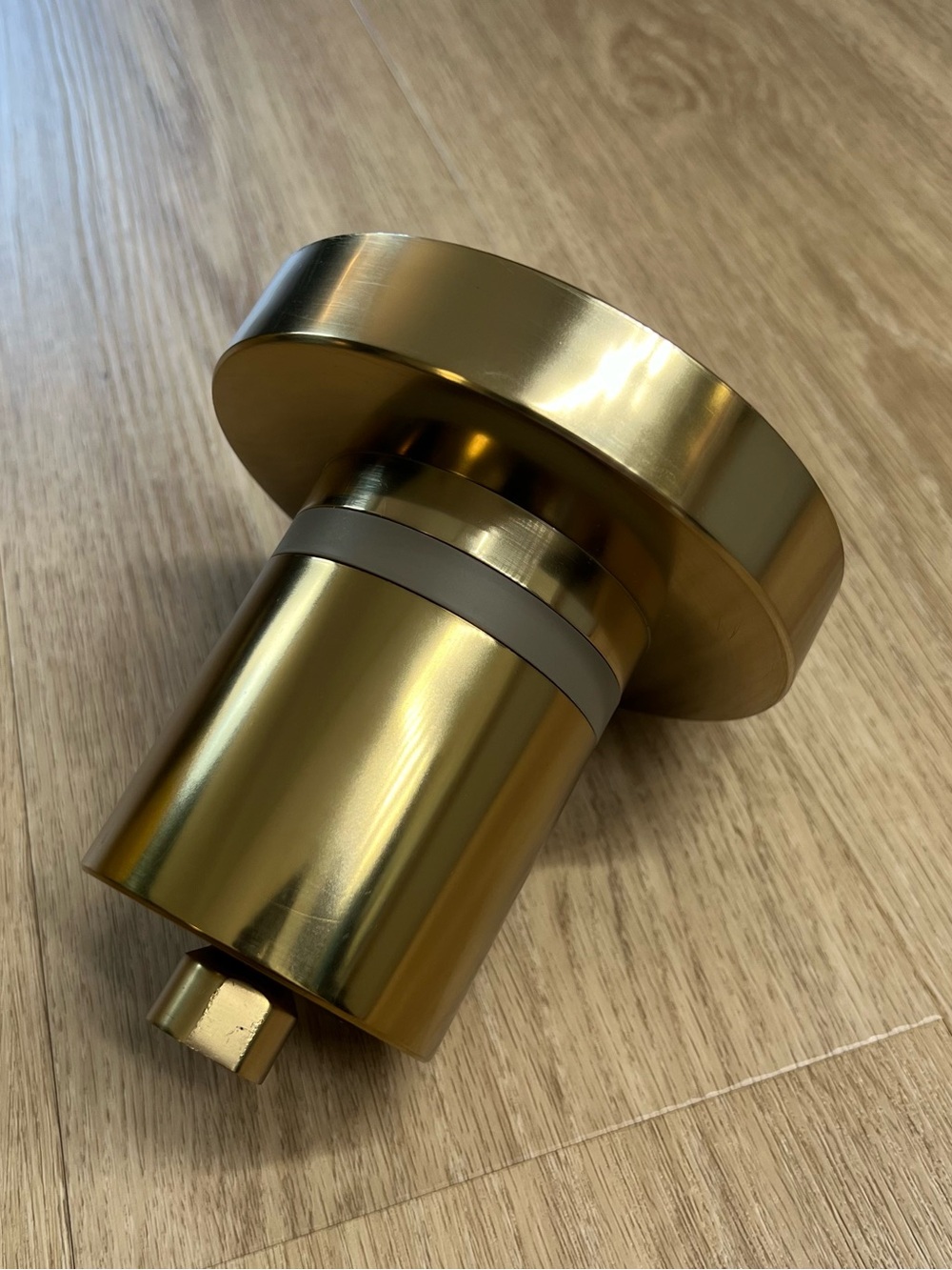 Jolie Brushed Gold Filtered Showerhead